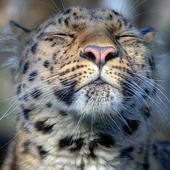 User avatar for Richard Day