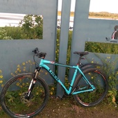 User avatar for Carl Traynor