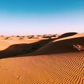 User avatar for Lieke Vv