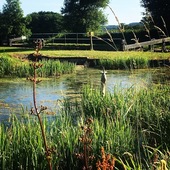 User avatar for Alison Curtis