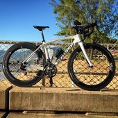 User avatar for Chelsea Holman