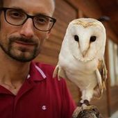 User avatar for Alberto Braga