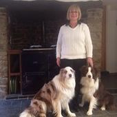 User avatar for Andree Carter