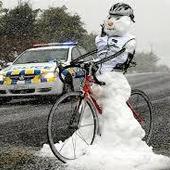 User avatar for Ryan Bird