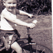 User avatar for Terry Armit