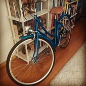 User avatar for Gorana Pavicic Nisevic