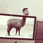 User avatar for Fedja Hudina