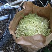 User avatar for Marko Molan