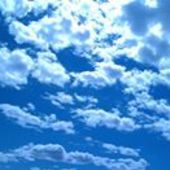 User avatar for Anahit Tomas