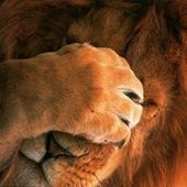 User avatar for Dean Kuleš