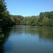 User avatar for Davorka Saric