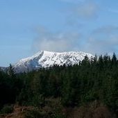 User avatar for Andrew White