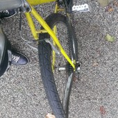 User avatar for Alan Mavar