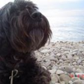 User avatar for Artimeda Josipa Budimir