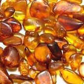 User avatar for Ali Borman