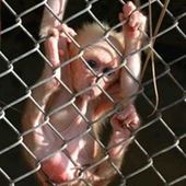 User avatar for Denis Podhraški