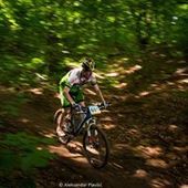 User avatar for Antun Umiljanović