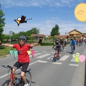 User avatar for Dalibor Matotek