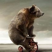 User avatar for Adis Velagić