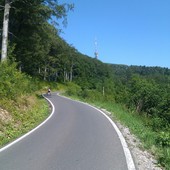 User avatar for Danijel Milišić