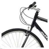 User avatar for Dunja Beš