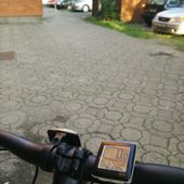 User avatar for Bojan Blažević