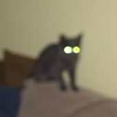 User avatar for Barbara Null