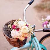 User avatar for Dejana Kurtović