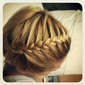 User avatar for Maja Najrajter