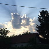 User avatar for Gordana Tom