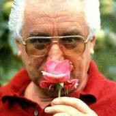 User avatar for Damjan Jp