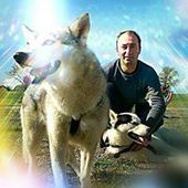 User avatar for Bruno Šešljaga