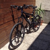 User avatar for Tatjana Kotarski