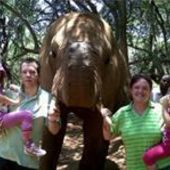 User avatar for Conrad Juleff