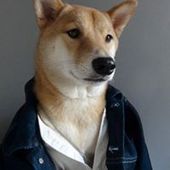 User avatar for Filip Vinković