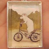 User avatar for Jelena Žučko