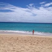 User avatar for Alice Brotchie