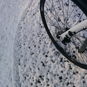 User avatar for Esmé  Anderson