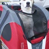 User avatar for Keith Morgan