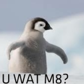 User avatar for Bojan Matijašec