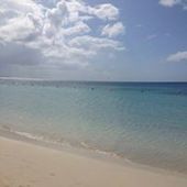 User avatar for Gaye Dales