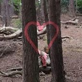 User avatar for Tony Holmes