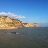 User avatar for Andrew Mackay