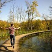 User avatar for José Munjoz