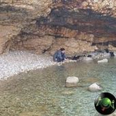 User avatar for Ana Žnidarec Čučković