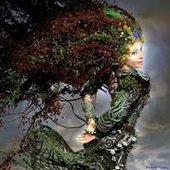 User avatar for Ljiljana Brkić