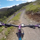 User avatar for Michelle Aundrews