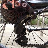 User avatar for Kristy Ravenhall