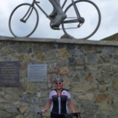 User avatar for Sue Hollin