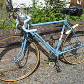 User avatar for Mark Bott